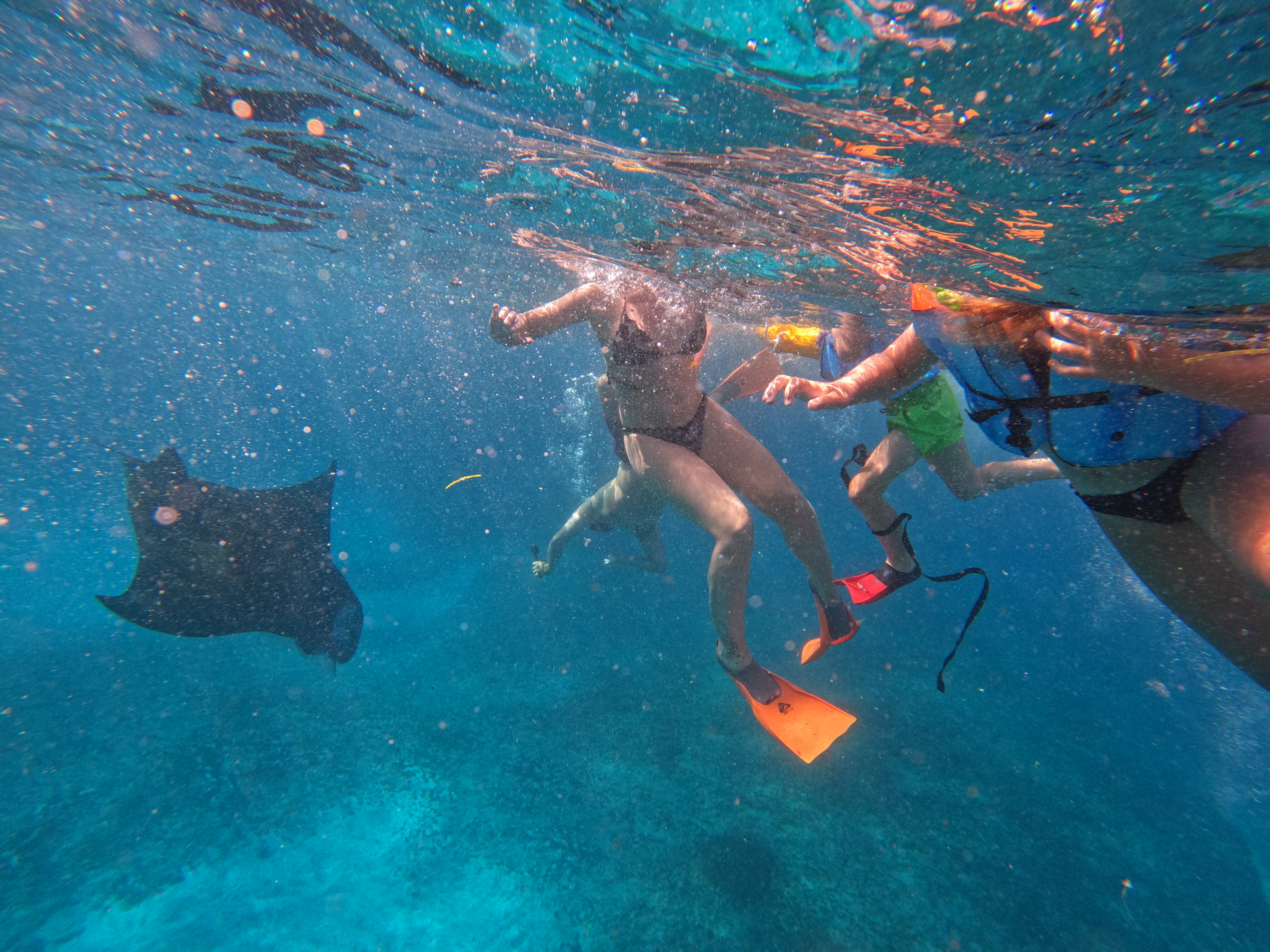 Snorkeing 3 Spot Point Un Nusa Penida 