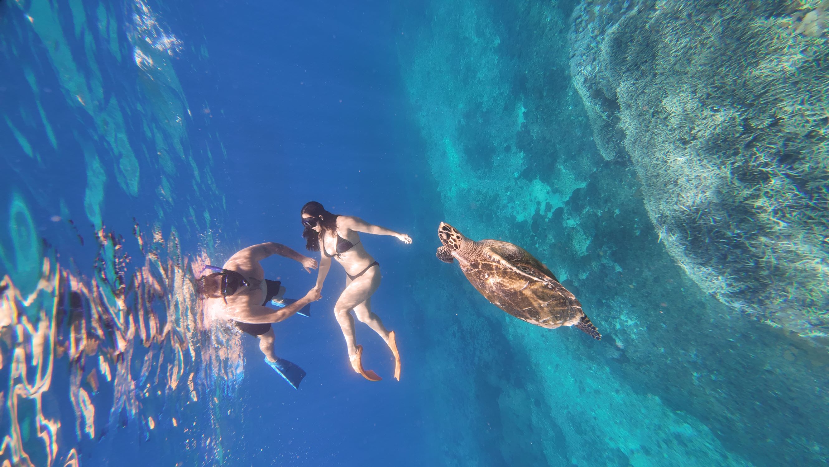 From Bali: Manta Point Snorkelling  with Land mark Tour With Lunch 